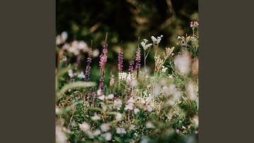 Pulsating Another Anthem