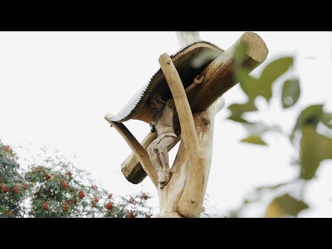 Video: Kur filmuojama medžio meistro dirbtuvė?