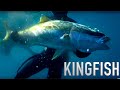 New Zealand ADVENTURE VLOG 134 SPEARFISHING Pıgeon shoot catch n cook Josh James and Sons