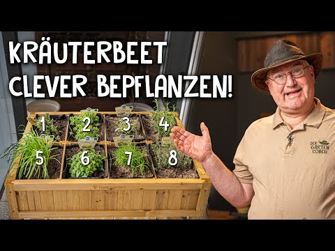 Video: Kräutergarten in Zone 8 – Was sind beliebte Kräuter für Gärten in Zone 8