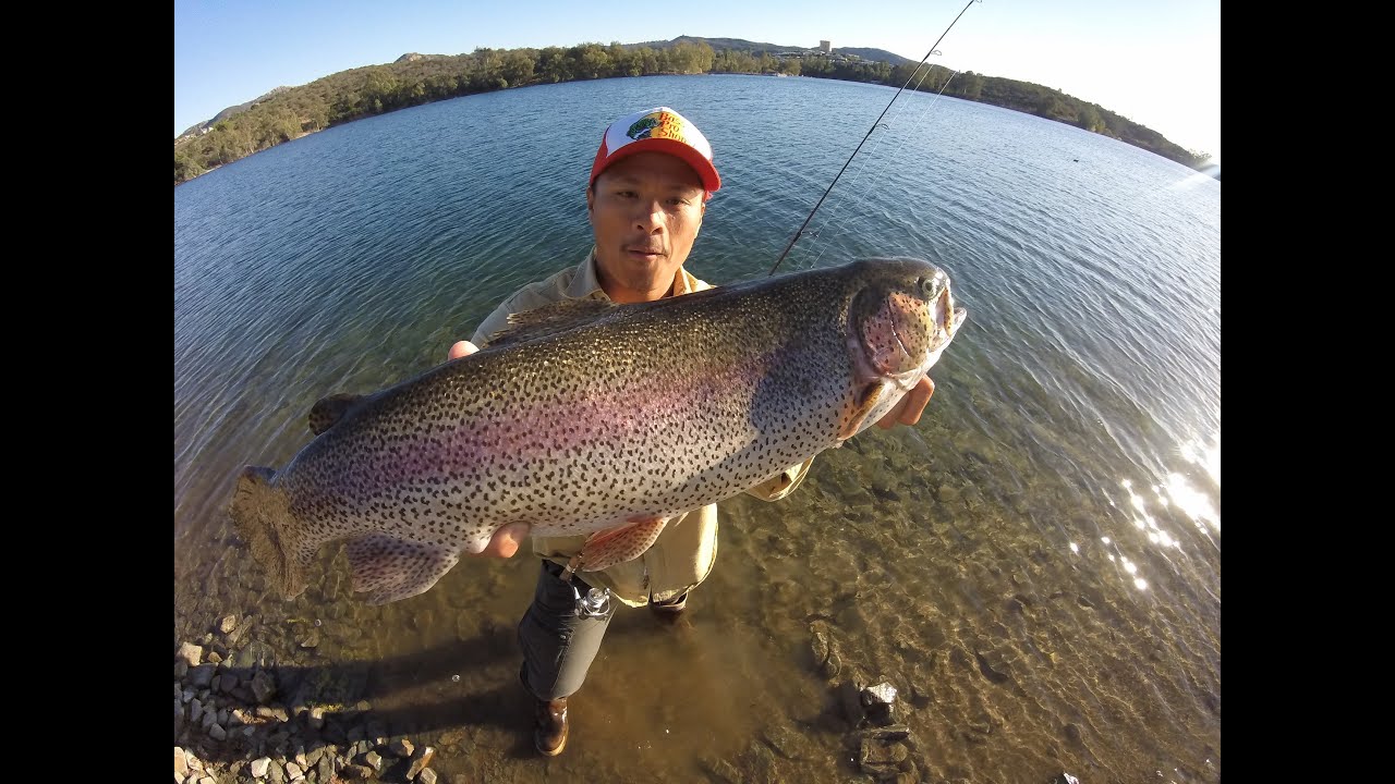 How to fish for those finicky Trout San Diego Fishing with Rodney