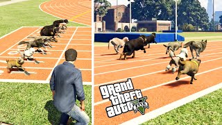 سباق الكلاب من الأسرع في لعبة جي تي أي 5 ؟ | GTA V Dog Race