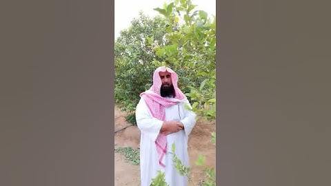 دحيم الحماد من أذكار الصباح والمساء ١٤٤١هـ