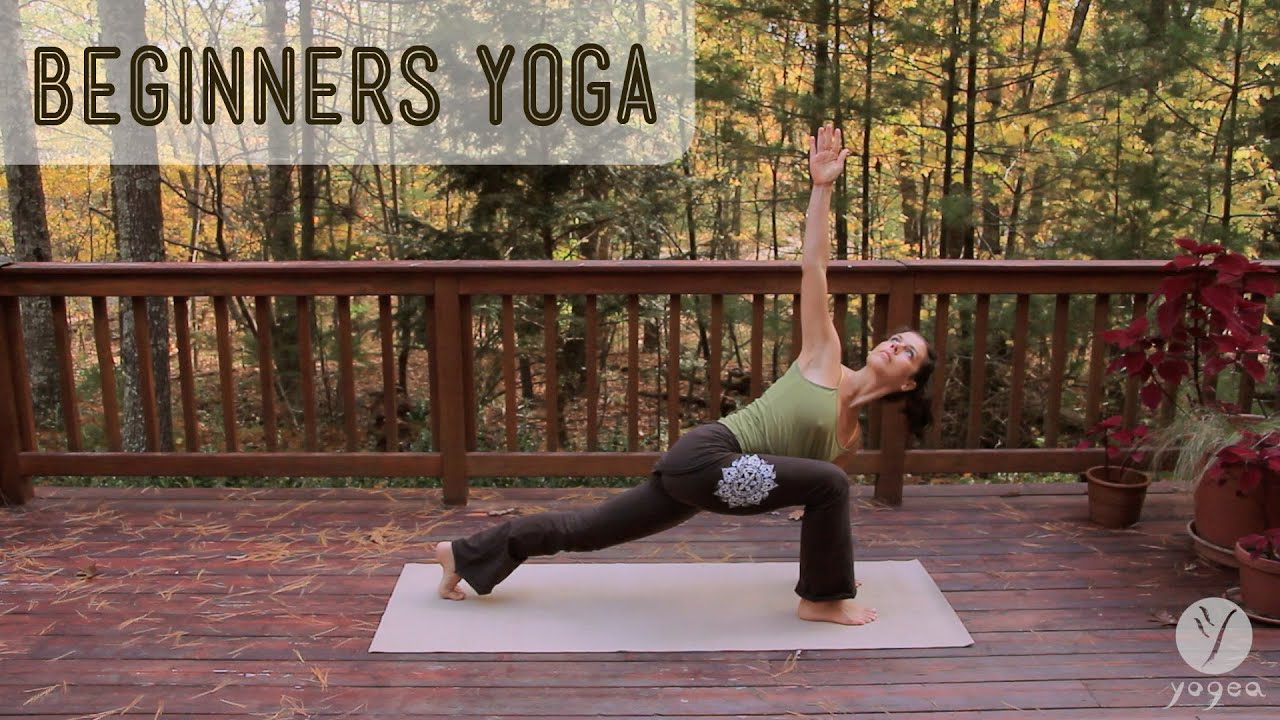 Yoga for Complete Beginners - 30 minute Yoga Class #sunriseyoga  #morningyoga - YouTube