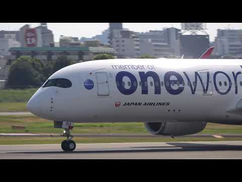 伊丹スカイパーク　色々離陸　2023.8.13