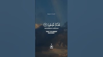 رعد_الكردي | Raad Al-Kurdi (سورة_الأعراف ) Surat Al-A'raf