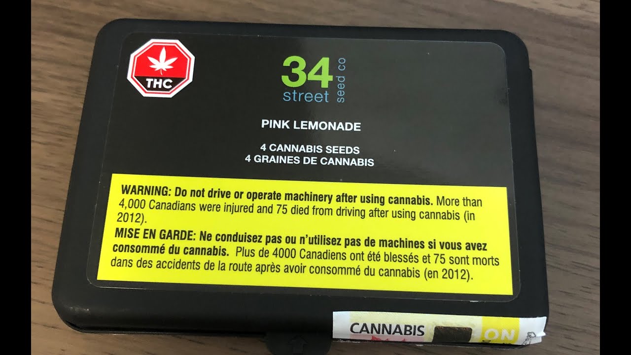 Ontario Cannabis Store - Pink Lemonade Grow Update#2