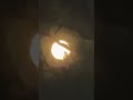 Full moon rising