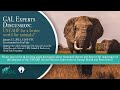 GAL Experts Discussion: UNCAHP for a better world for all animals?