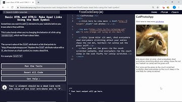 Basic HTML and HTML5 (13/28) | Make Dead Links Using the Hash Symbol | freeCodeCamp