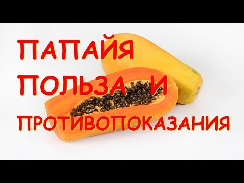 Как употреблять папайю в пищу