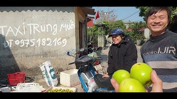 Đón Anh Phòng Quê Nghĩa Đàn - Nghệ An  Khảo Sát Chợ Táo Lục Ngạn Cuối Vụ l Núi Đồi Lục Ngạn