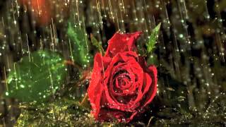 &quot;Raindrop&quot; Prelude Op. 28 No. 15 -- Chopin