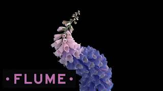 Flume - Like Water (LGVA Remix)