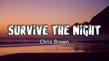 Chris Brown - Survive The Night (lyric video)