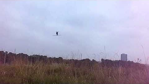 V450D03　3D  201305.26　Pilot　By　MONLY