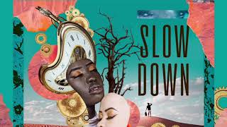 Boddhi Satva J Something - Slow Down Main Mix 