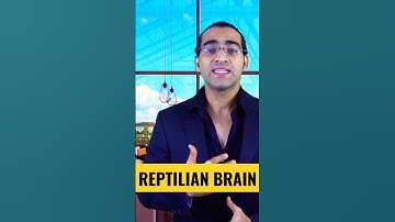 What is reptilian brain?