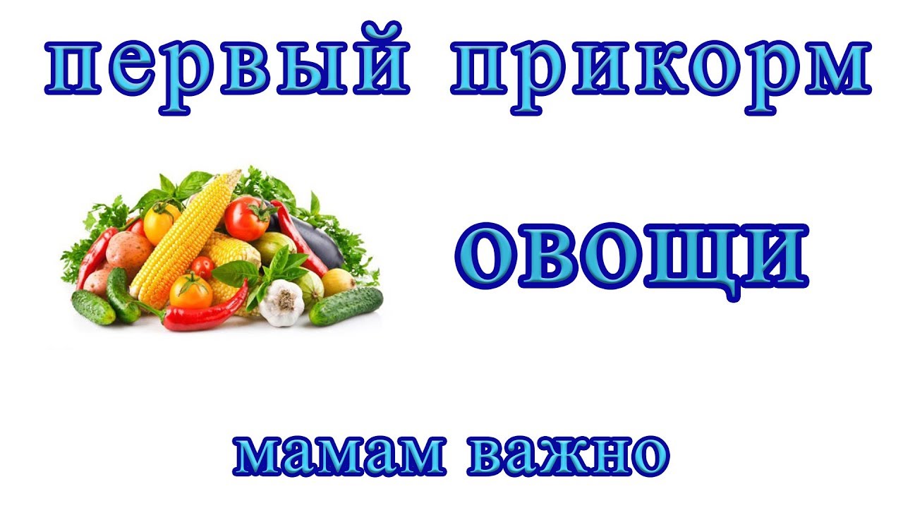 Как и Когда вводить овощи? Первый прикорм - YouTube