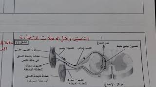 2ع ت/ مراجعة المجال 01 اليات التنظيم في العضوية :اولا التنظيم العصبي