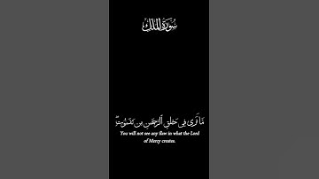 قران كريم.سورة الملك #اكسبلور #سورةالملك #قرآن #foryou #فلسطين #غزة #ماهر_المعيقلي #راحة_نفسية
