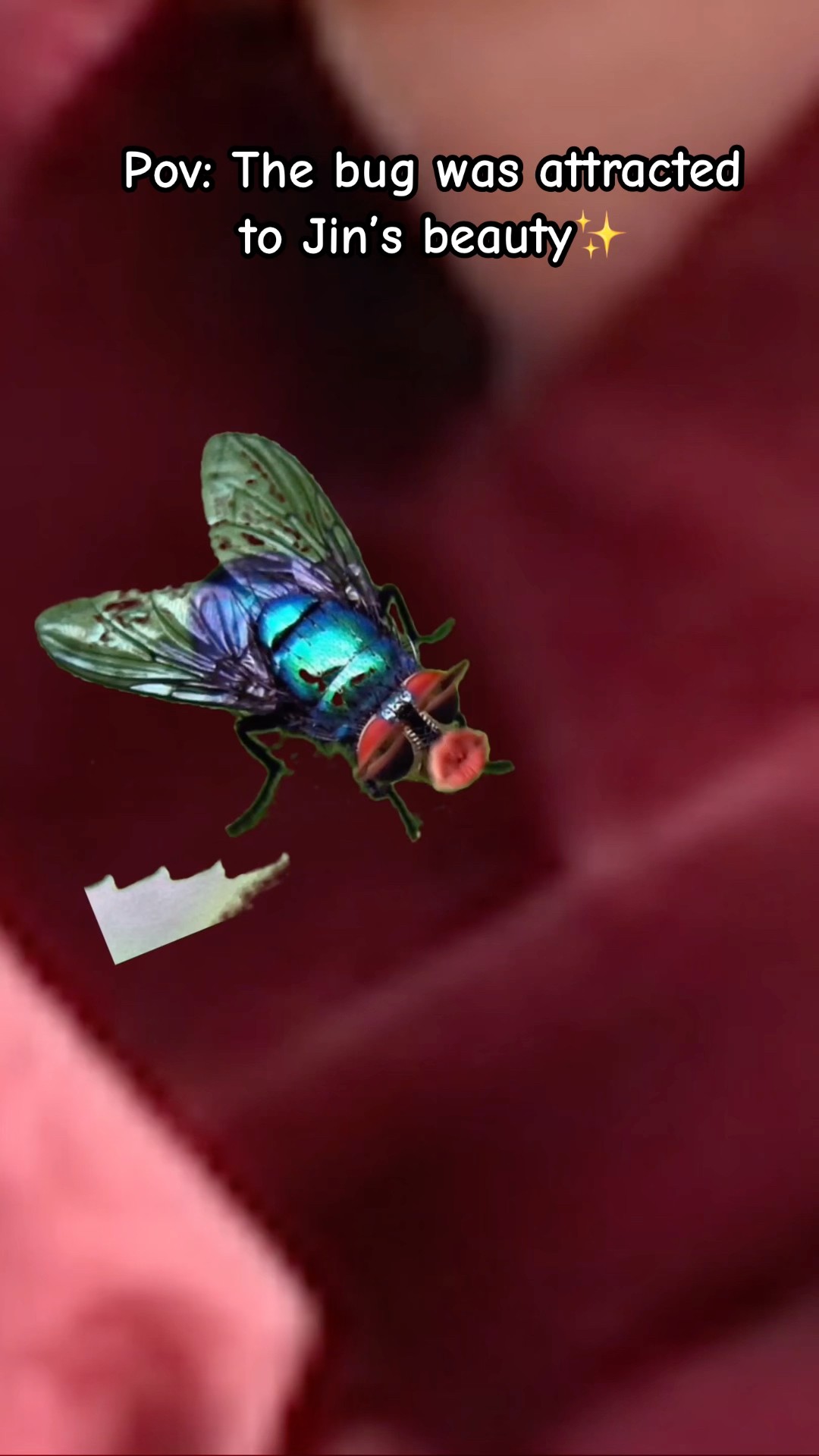 Pov: The bug was attracted to Jin’s beauty✨#bts #btsarmy #kimseokjin #shorts