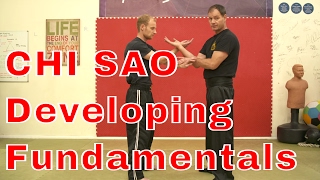 Chi Sao: Developing The Fundamentals