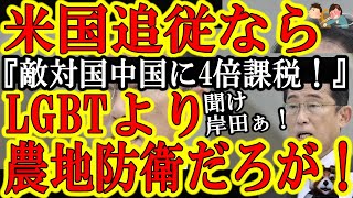 【遂にアメリカ全土に拡大！米国『おい中国！米国農地が欲しいなら税金４倍だ！中国に国土は渡さんぞ！』】日本の政治家共！アメリカ追従するならLGBT法案よりこっちやれ！中国に1000％課税しやがれ！