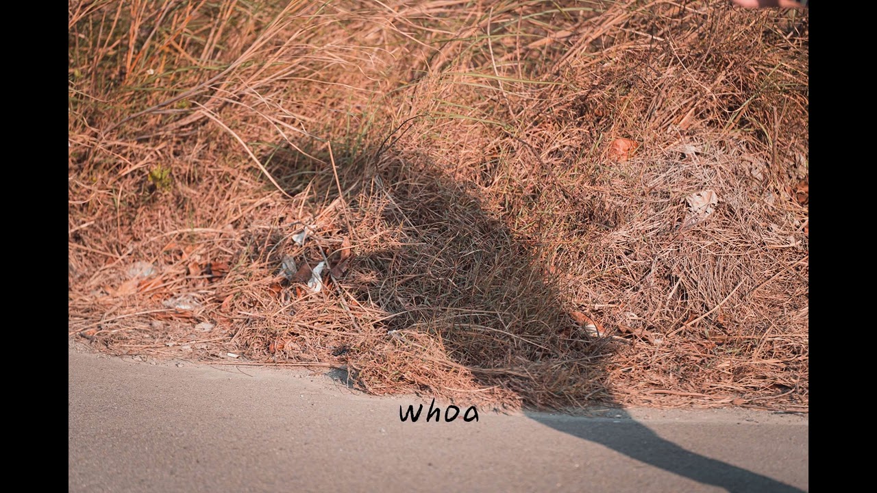 1.Who [LYRICS VIDEO] by NickWu