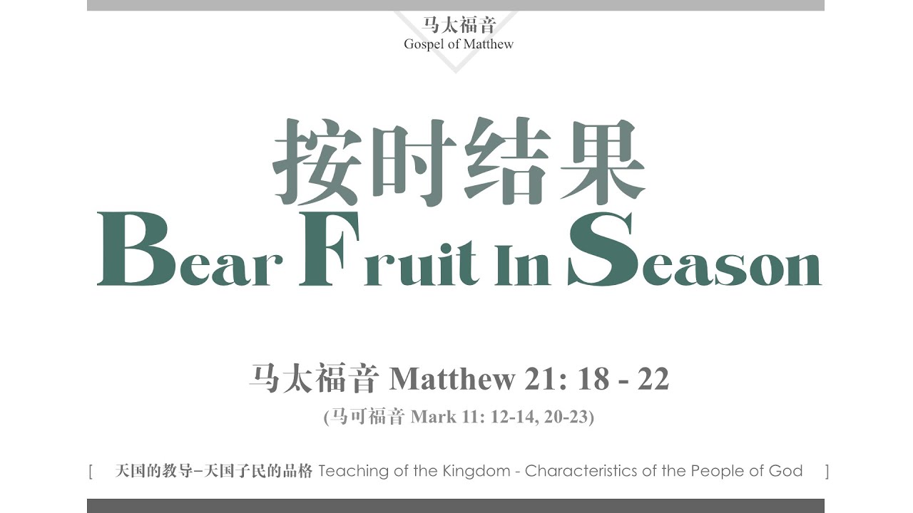 20250202 按时结果 Bear Fruit In Season - YouTube
