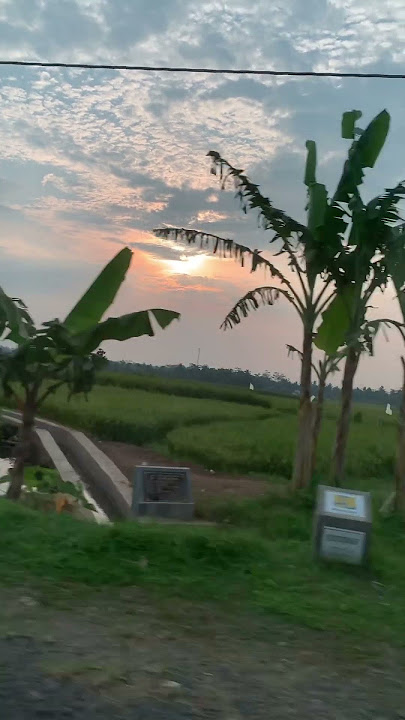 Indahnya indonesiaku #pemandangan #pemandanganalam #sawah #gunung #senja #sore #langit