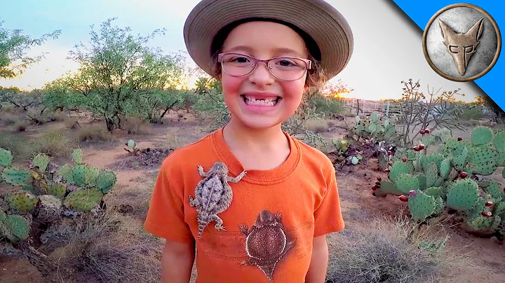 Horned Lizards in Our Backyard!