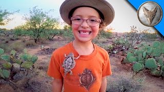 Horned Lizards in Our Backyard!