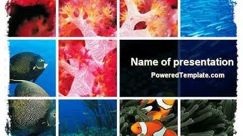 Sea Life PowerPoint Template by PoweredTemplate.com
