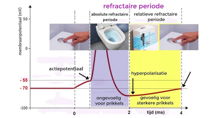 Incorrecte terminologie 8: vocht achter de longen - YouTube Incorrecte Terminologie 8: Vocht Achter De Longen - Youtube