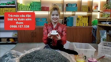 Đặc điểm cận cảnh trà móc câu đặc biệt vụ Xuân 0988.157.538
