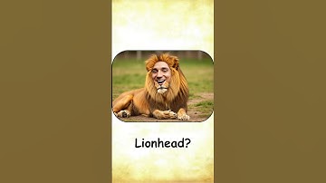 Top Literal vs Real Meaning of English Compound Words