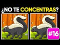 ¿Qué Tan Buenos Son Tus Ojos? #16 🦊🐼🐨 Juego de Atención para la Tercera Edad 🦋 Super Quiz