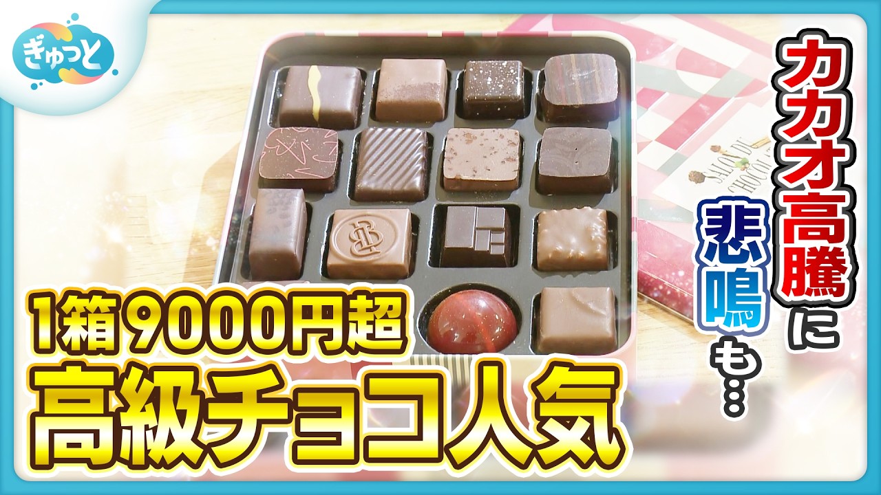もうすぐバレンタイン！も気になる“カカオ豆の価格高騰”最新チョコレート事情2026【ぎゅっと】（2026年1月23日OA）