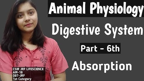 Absorption Part 3rd - DIGESTIVE SYSTEM, Animal Physiology CSIR-NET JRF LIFESCIENCE