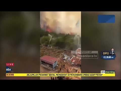 Heboh! Karhutla Mendekati Kampus UNISKA, Mahasiswa & Satpam Berusaha Padamkan Api | NTV MORNING