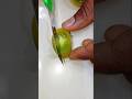 amazing fruit cutting skills🍅🍓🥭659#shorts #viral#food#youtubeshorts#yt
