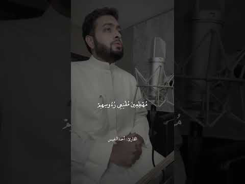 آيات عن الظلم القارئ احمد النفيس