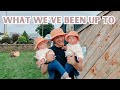 weekend in my life with one year old twins!! things did not go as planned..