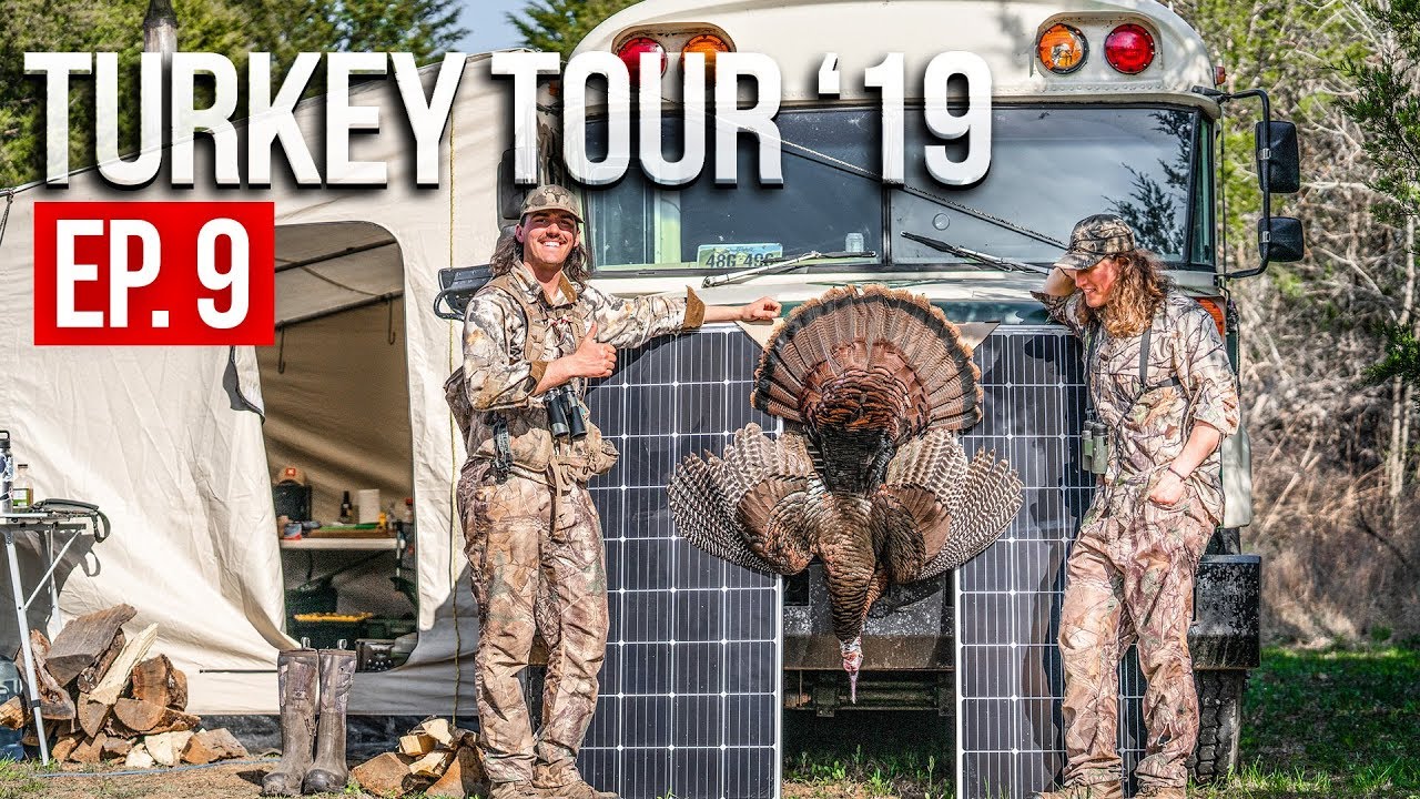Spring Turkey Hunting TENNESSEE PUBLIC LAND YouTube