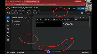 Python Session 1: Input Output Variable