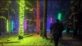Winter walks are woodsy and whimsical at the Wild Center in Tupper Lake, New York