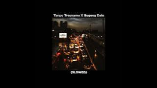Tanpo Tresnamu X Sugeng Dalu ~ Slowed
