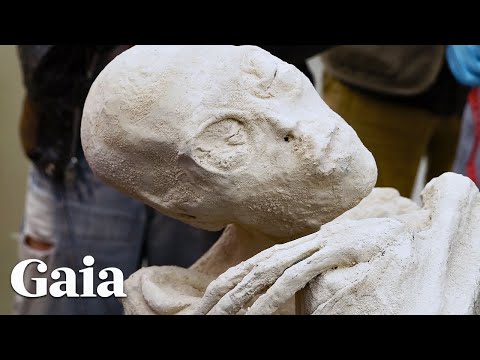Special Report: Unearthing Nazca