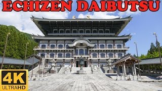 Echizen Daibutsu (Great Buddha), Fukui in 4K - 越前大仏